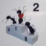 electrician in cape town